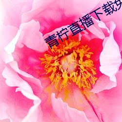 青柠直播下载免费下载