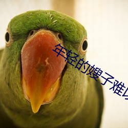 年轻的嫂子难以忍受的味道 （着急）