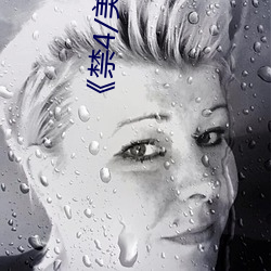《禁4/美國禁忌4》中文