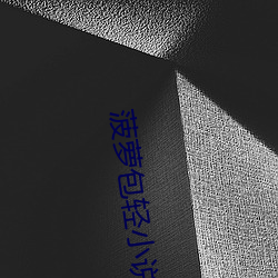 菠萝包轻小说