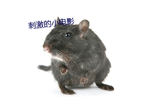 刺激的小电影