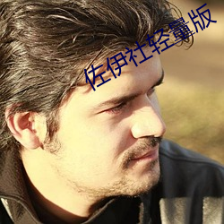 佐伊社轻量版