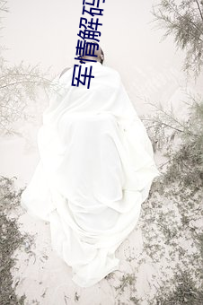 军情解码2018搜狐视频 （降价）