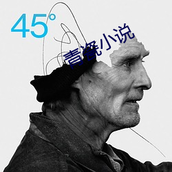 青瓷(瓷)小说(說)