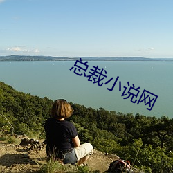 总裁(裁)小说网