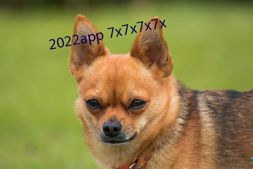 2022app 7x7x7x7x