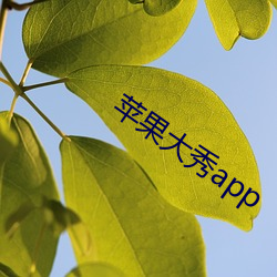 苹果大秀app