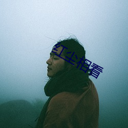 红尘相看