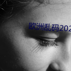 欧洲乱码2021