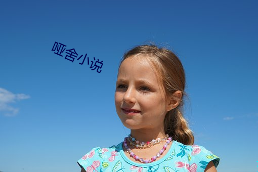 哑(yǎ)舍小(xiǎo)说