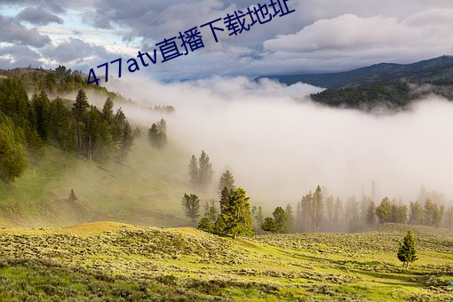 477atv直播下载地址