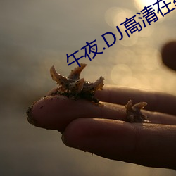 午夜.DJ高清在线观看免费动漫