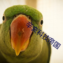 辛亥科技帝國