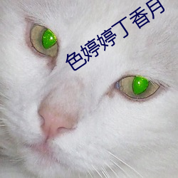 凯时|AG(AsiaGaming)优质运营商