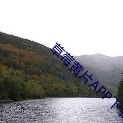 草莓(méi)黄片APP下(xià)载