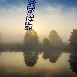 野花视频最新免费 （集句）