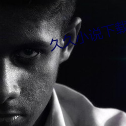久久小说下载网