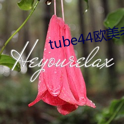 tube44歐美老師