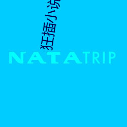 狂插小说(shuō)