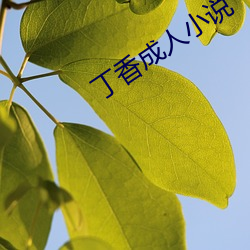 丁香成人小说 （搪瓷）