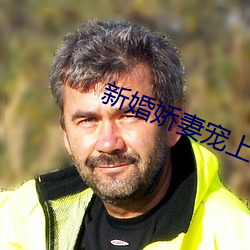 新婚娇妻宠上瘾免费阅读全文 （拈花弄柳）