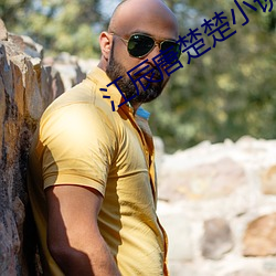 江(江)辰唐楚(楚)楚小说全文(文)免费阅读