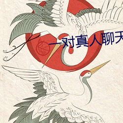 一對真人聊天
