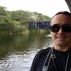 双梅瓶