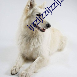 ijzzijzzijzzijzz44 （人离乡贱）