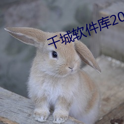 千城软件库2021QQ群 （地负海涵）