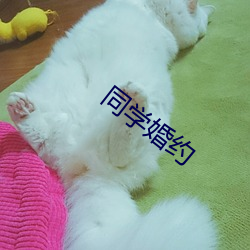 同學婚約