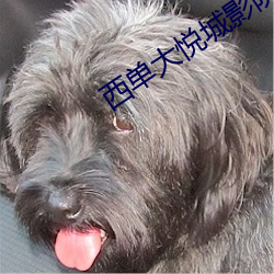 凯时|AG(AsiaGaming)优质运营商