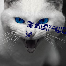 青草国产超碰人人添人人碱全文阅读