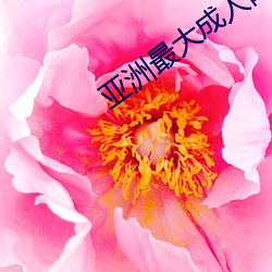 亚洲最(zuì)大成人网站(zhàn)