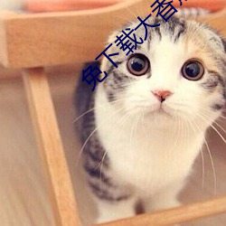免下載大香蕉