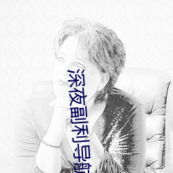 深夜副利导航系统