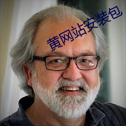 黄(黃)网(網)站安装包