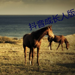 抖音成长人版免费观看下载抖音