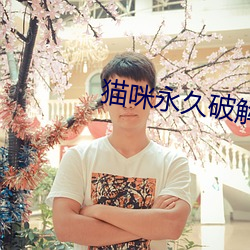猫(貓)咪永久破解(解)版大(大)象