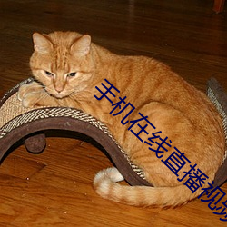 手机在线直播视频