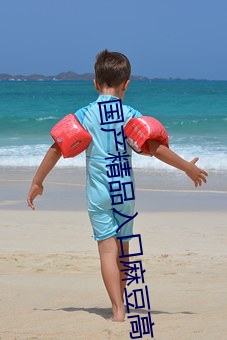 国产精品入口麻豆高清在线