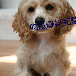 吃瓜爆料完整視頻