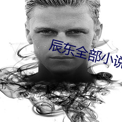 辰東全部小說