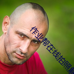作业帮在线拍照解题打开