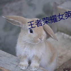 王者荣耀女英雄去内无遮挡 （骈肩累踵）