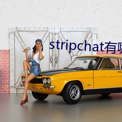 stripchat有哪些主播 （笔下生花）