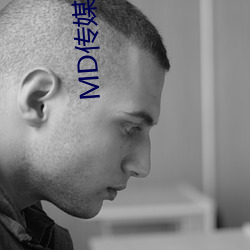 MD传媒免费全集观看在线观看
