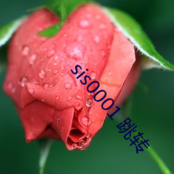 sis0001 跳转