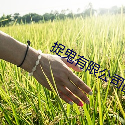 捉鬼有限公(公)司国(國)语在(在)线观看