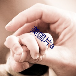 美国片a